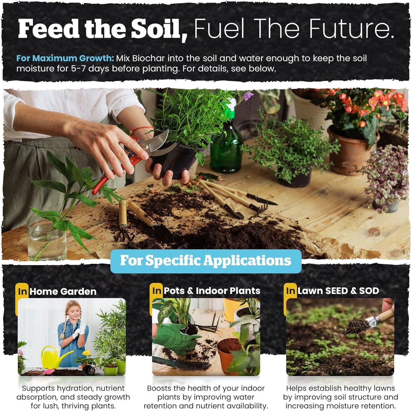 Wakefield Premium Biochar Soil Conditioner – 100% Pure Organic Biochar Soil to Boost Nutrient Retention and Water Efficiency for Houseplants, Gardens, & Lawns – 4 Quarts