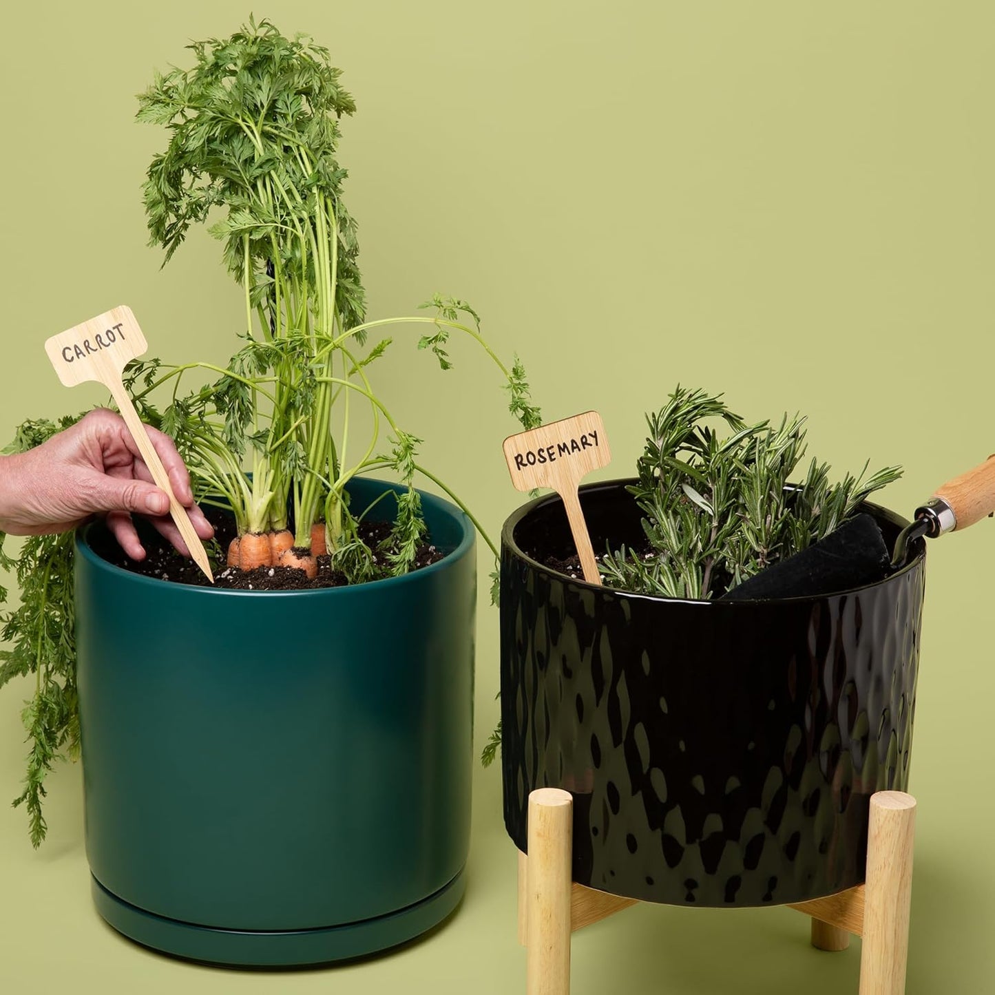 Bamboo Plant Stakes, 50pcs, Extra Long Plant Labels (2.25" x 1.5" x 7"), Bamboo Garden Signs, 50 pcs Plant Tags, Plant Identifications Stakes, Plant Markers