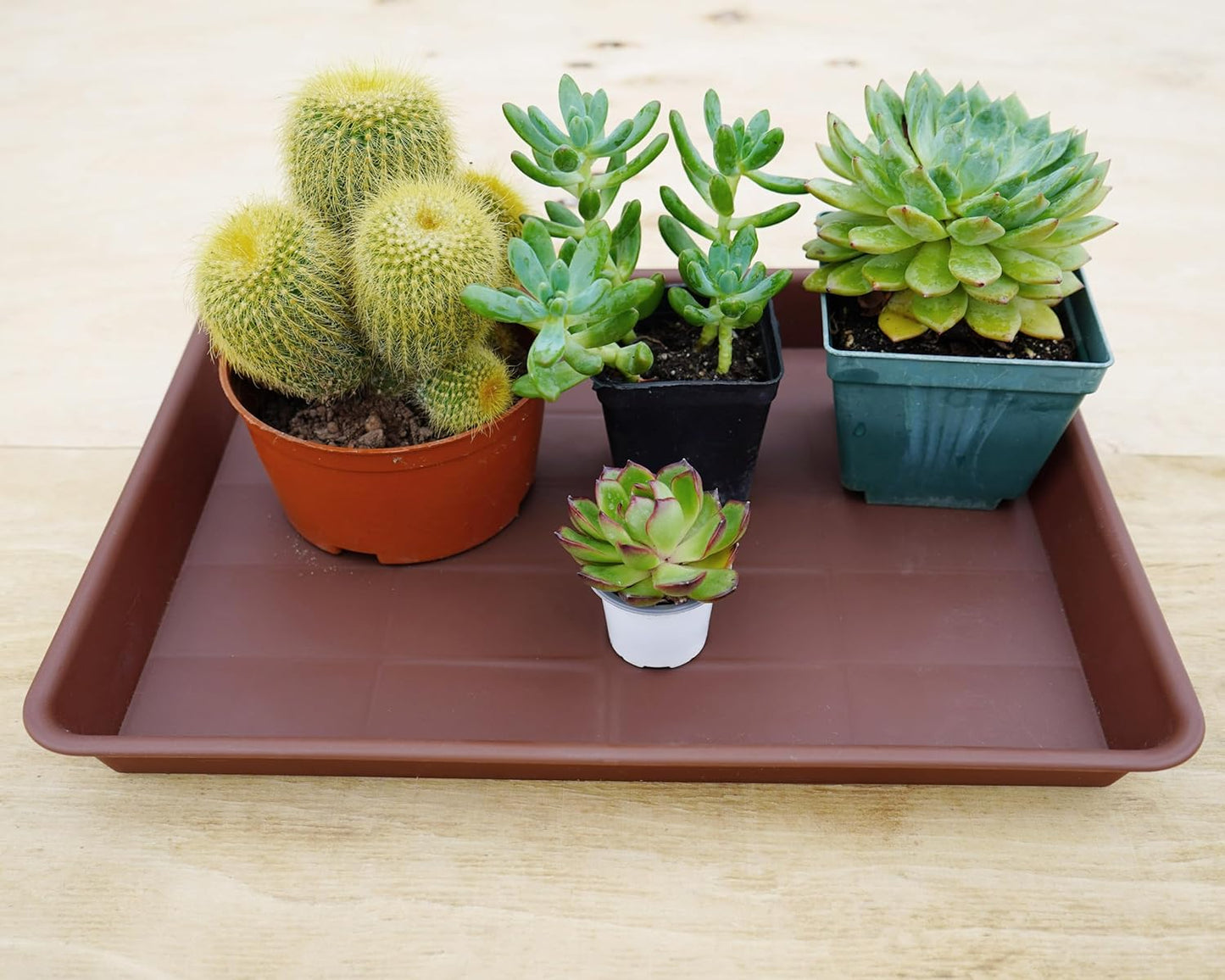 2 Pack Rectangular Plant Saucer, Heavy Sturdy Seed Starting Nursery Trays for Indoors No Holes, Growing Starter Tray (17.5"x10.6", Chocolate)