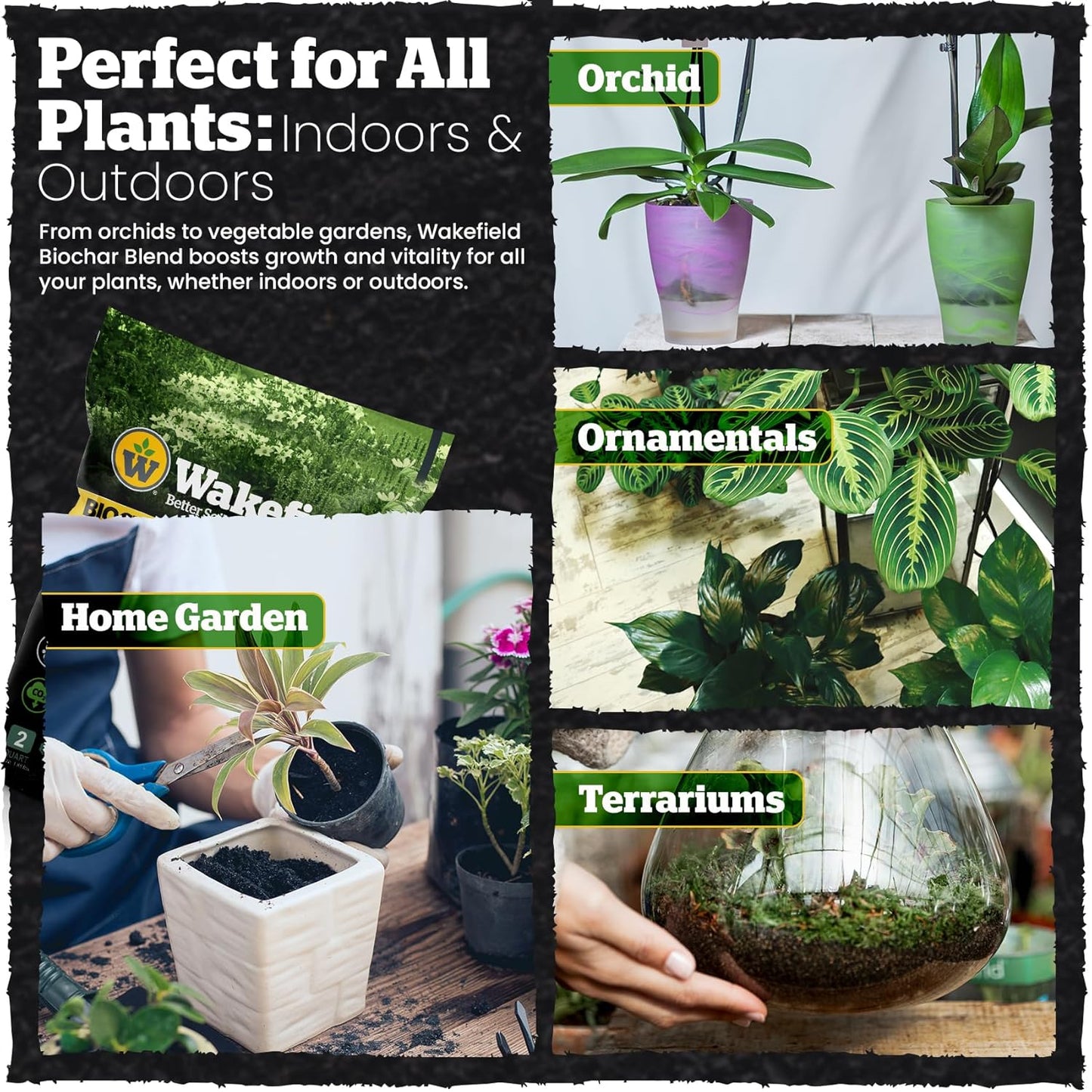 Wakefield Biochar Blend with CarbonBoost™ Technology – Enhanced Water & Nutrient Retention for Raised Bed Garden Soil - Ultimate Organic Potting Soil Mix for Vegetables, Gardens and Houseplants - 2qt