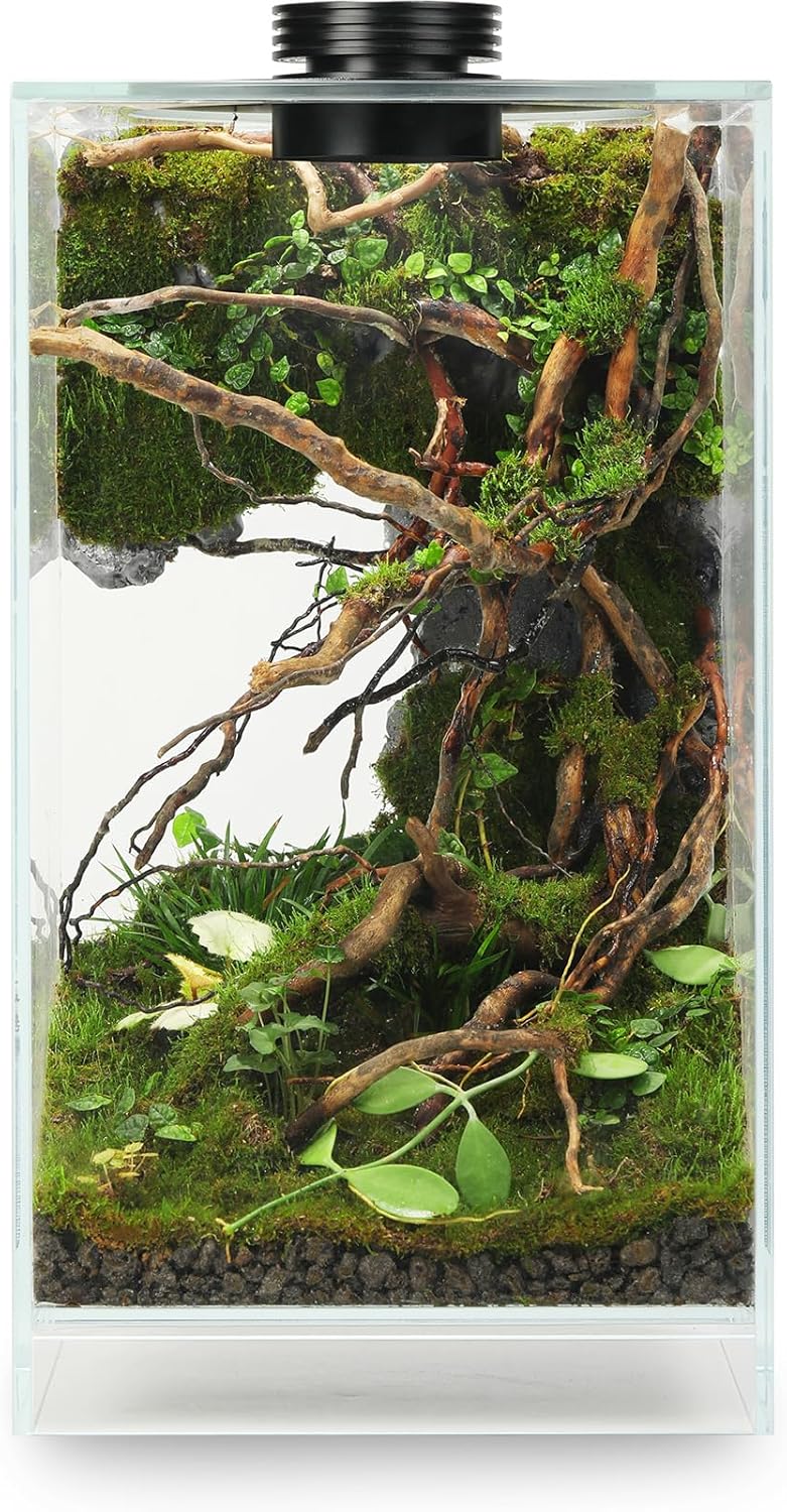 Desktop Glass Plant Terrarium with Grow Light(L7.8 W7.8 H14), for Succulent, Moss, Miniature Gardening Landscape, Betta Fish Tank, Indoor Plant Growth, Office Home Decoration (TimeControlled)