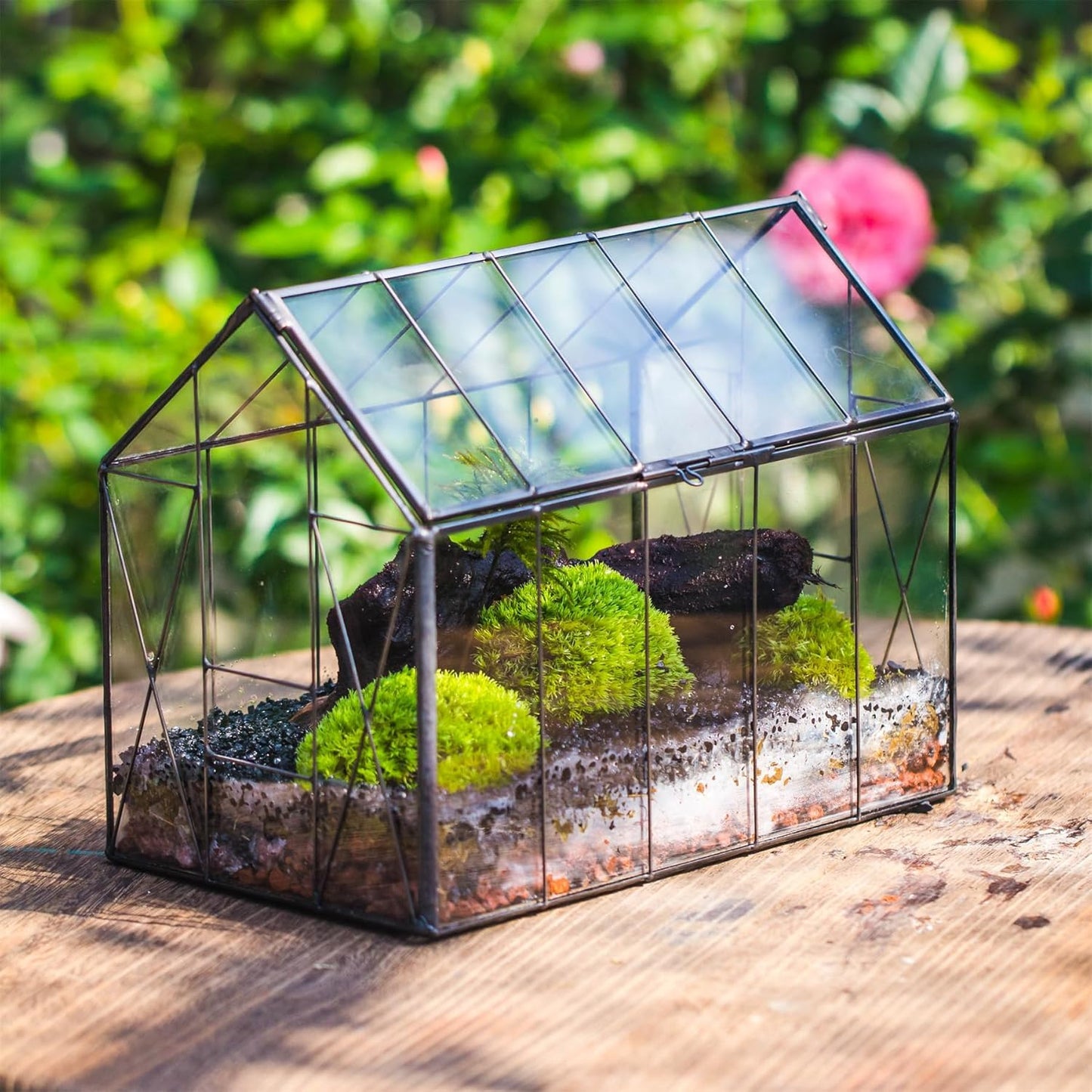 NCYP Geometric Glass Terrarium with Lid for Succulent, Small Cactus - Handmade Clear Closed House Shape Box - Home Indoor Tabletop Garden Decor, Black 9.4" x 5.5" x 7.3" (No Plants)