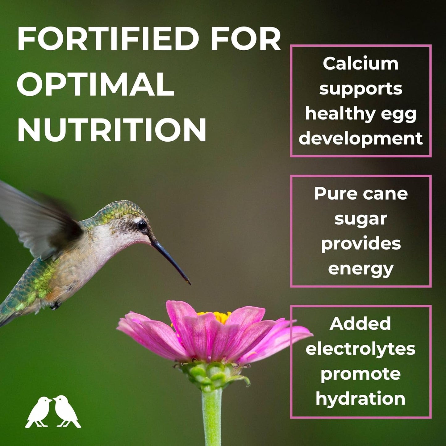 BIRDBROS Hummingbird Nectar Powder Nectar+ Hummingbird Food for Feeders – All-Natural, Dye-Free, No Boil, Easy Mix – Pure Cane Sugar, Hummingbird Feeder Refill, Made in USA – Makes 96 oz