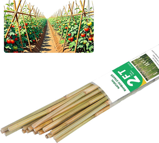 2ft Natural Bamboo Plant Stakes for Tomatoes, Beans, Flowers, Potted, Climbing Plants 25pcs