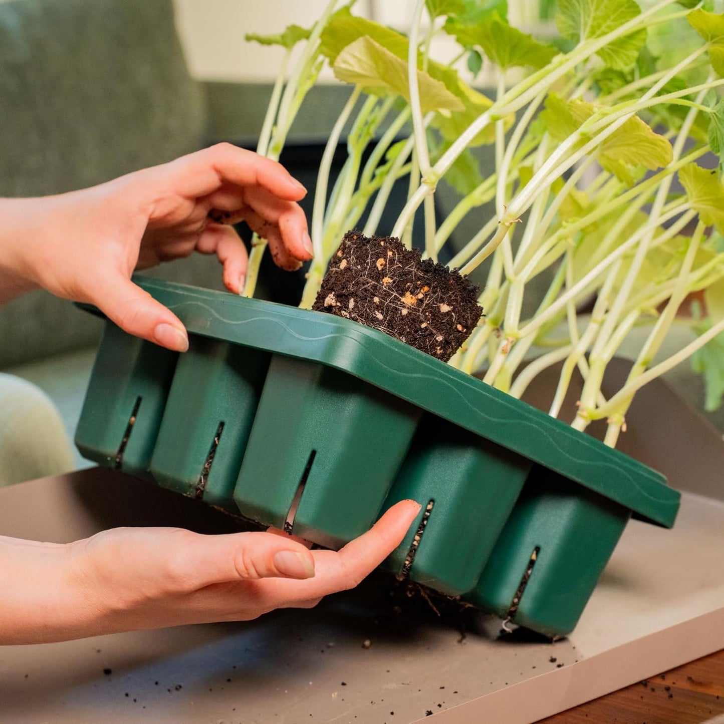 Vego garden Giga Seedling Trays - 8 Pack, 9-Cell UV-Resistant Reusable Starter Trays for Greenhouse/Garden (No Lids)