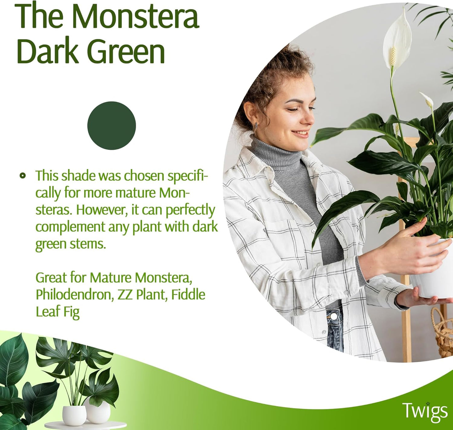 Plant Support Stakes, Stem Holder Structures for Indoor & Outdoor Use, Garden Accessories for Climbing & Potted Plants, Trellis Alternative - Monstera (Dark Green), 10 Pack, 22" L, Original