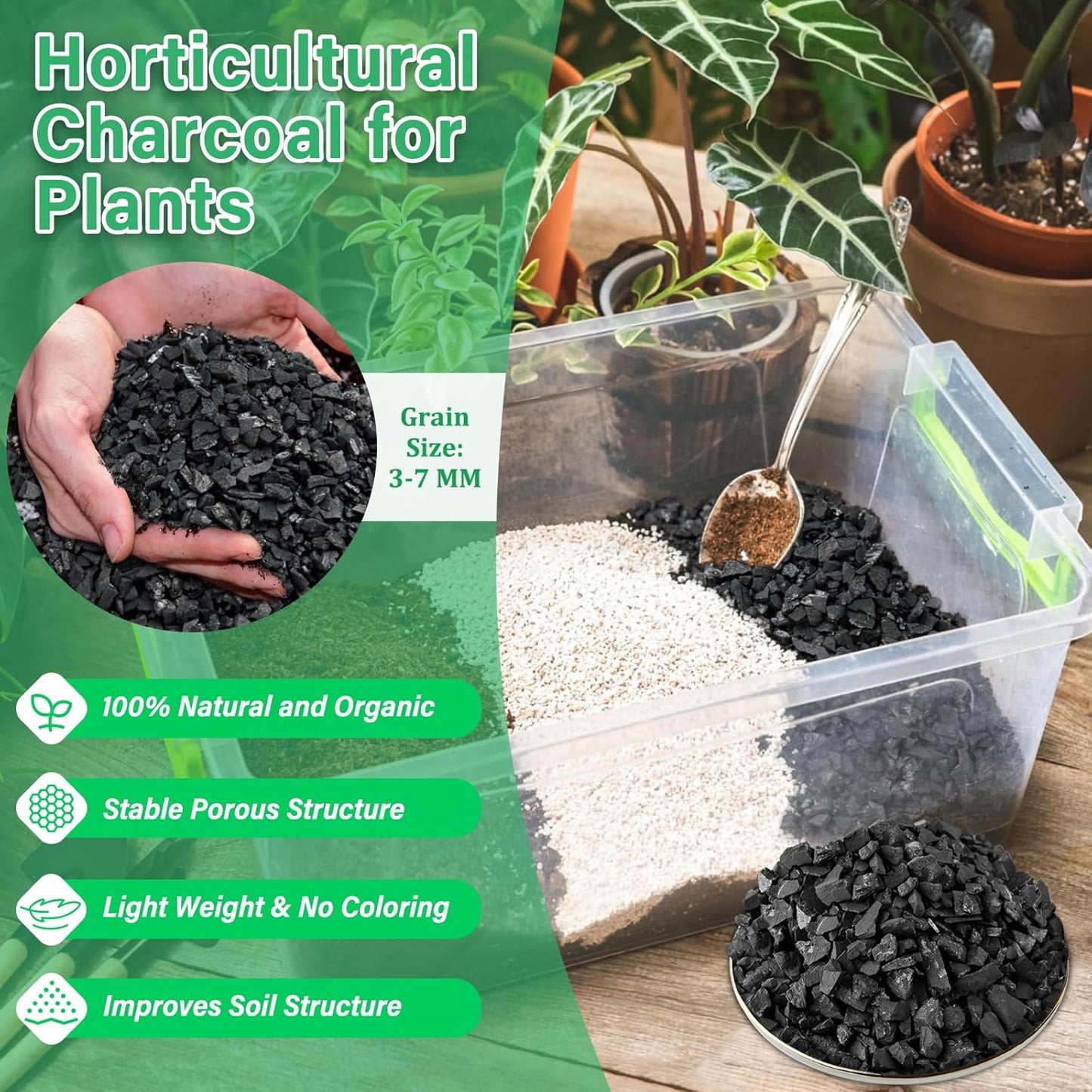 Legigo 6QT All Natural Horticultural Charcoal- Activated Hardwood Plant Charcoal for Soil Amendment, Conditioning Bonsai Soil, Succulent Soil, Terrarium Supplies, Indoor Plant Potting Soil