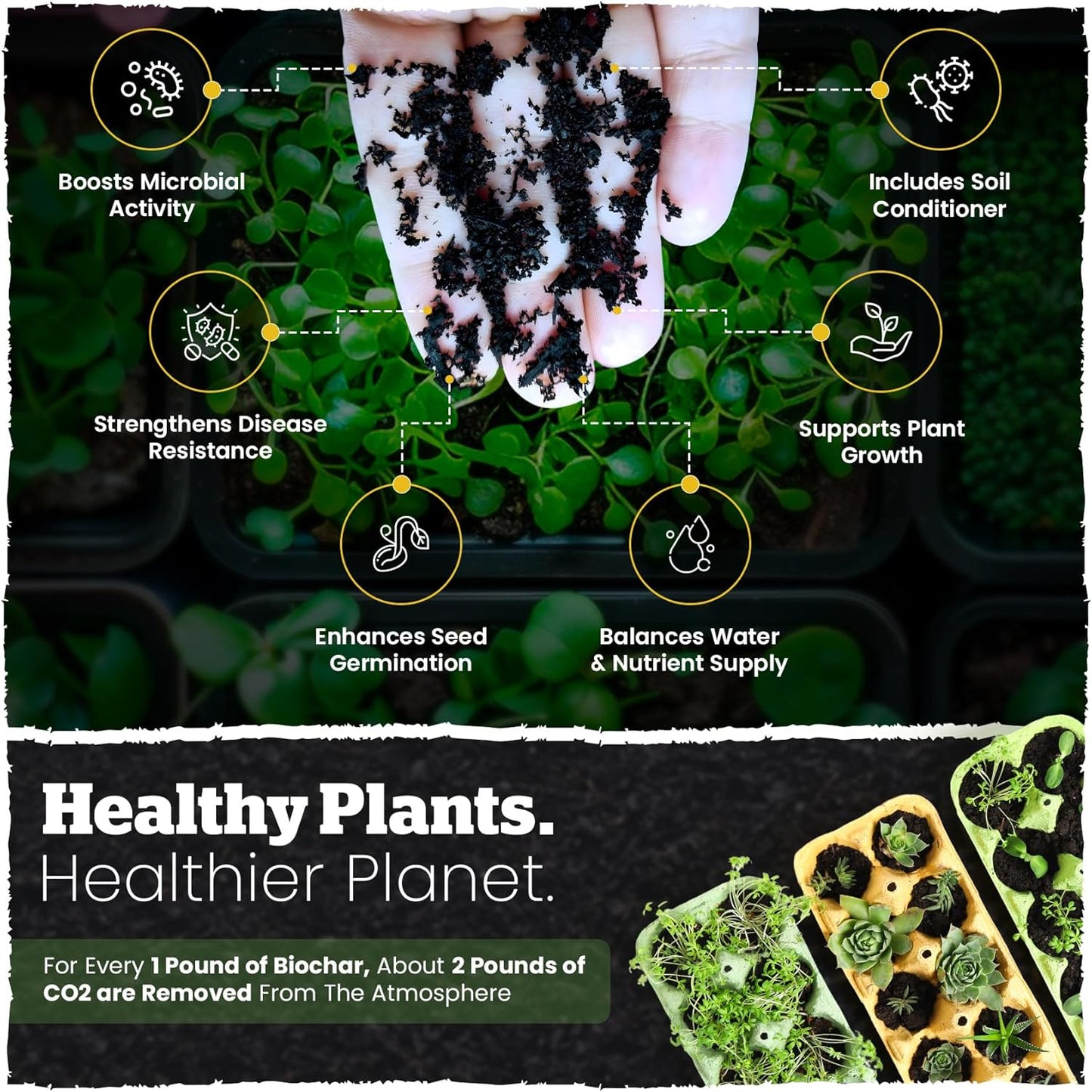 Wakefield Biochar Blend with CarbonBoost™ Technology – Enhanced Water & Nutrient Retention for Raised Bed Garden Soil - Ultimate Organic Potting Soil Mix for Vegetables, Gardens and Houseplants - 2qt