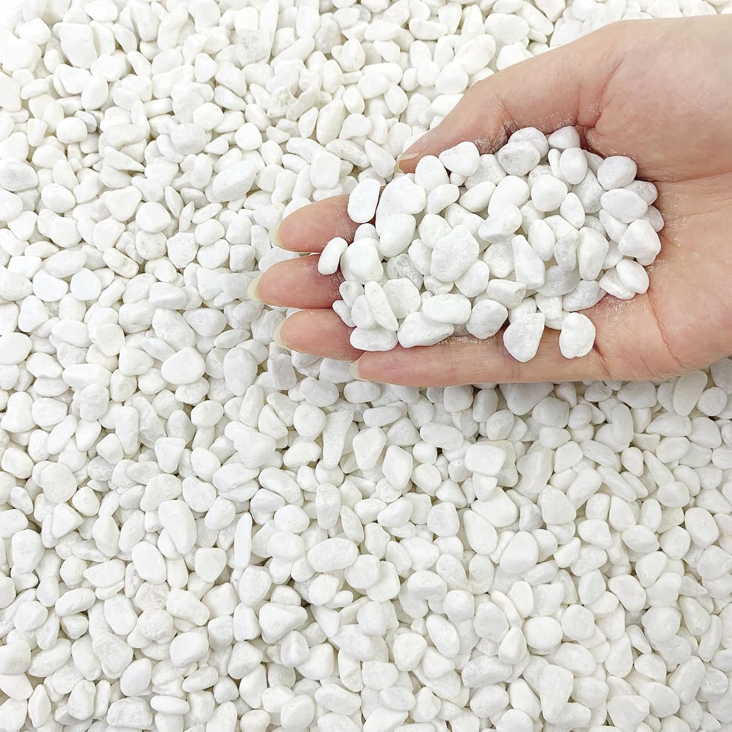 10LB Natural Succulent Gravel Decorative White Rocks - 3/8'' Small White Pebbles for Plants, Decorative Stones, Succulent Rocks Pebbles for Planter, Aquarium Pea Gravel for Landscaping