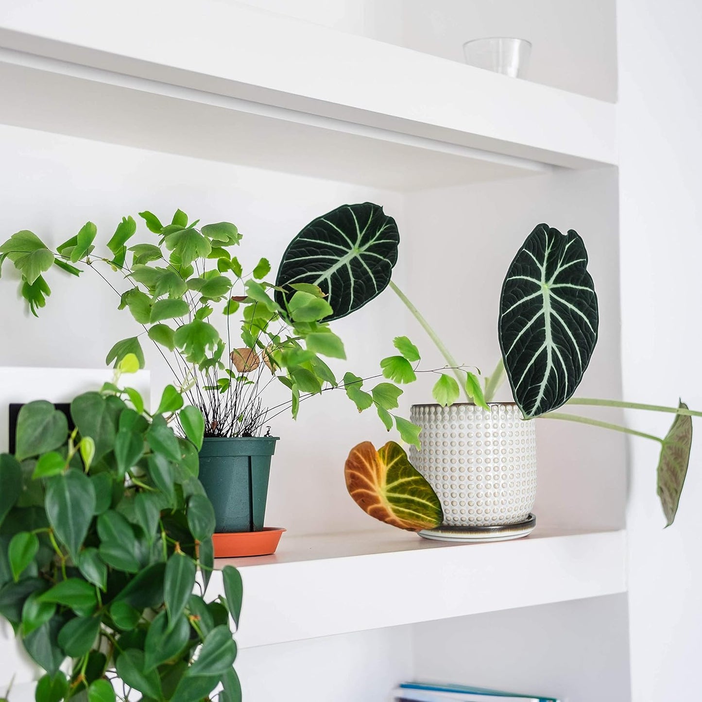 D'vine Dev 4 Inch Ceramic Beaded Stoneware Planter Pot - Flower Pot with Drainage Holes and Saucers for Indoor Succulent Plants or Flowers, Smoked White, 27-C-Z-1