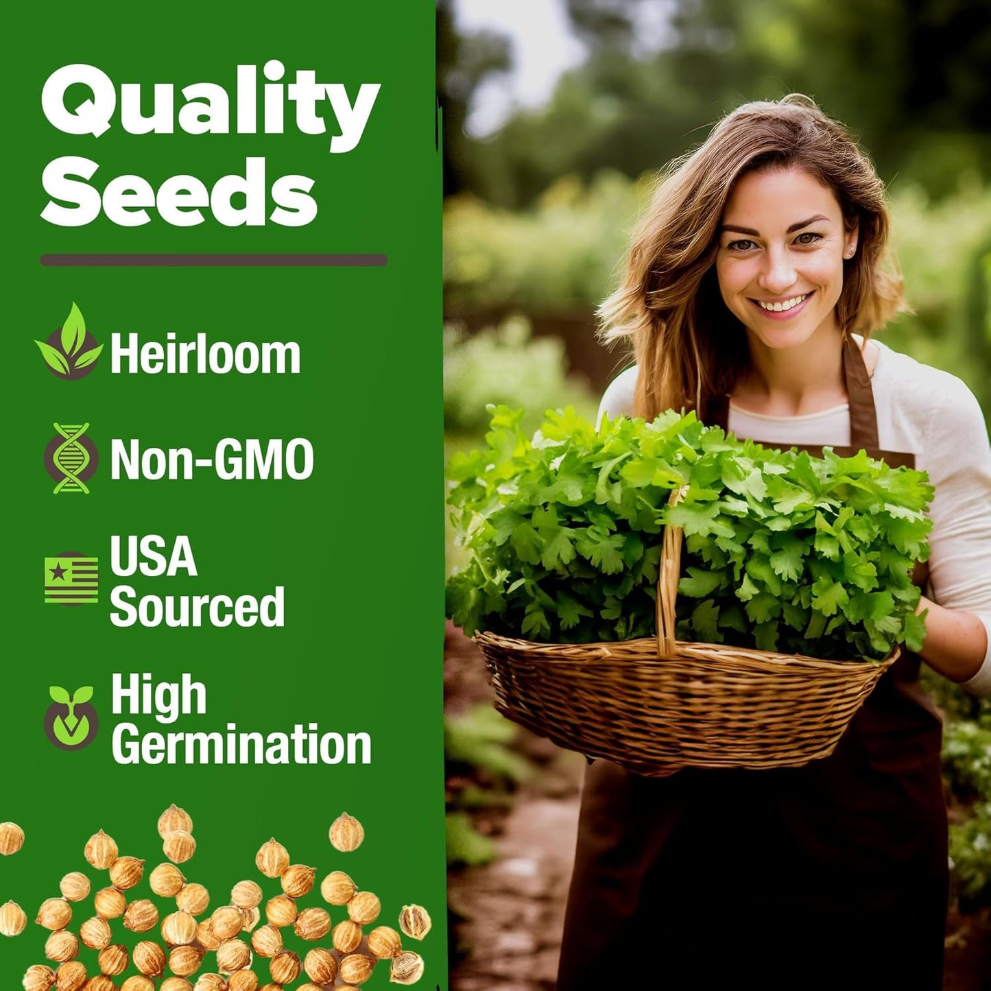 HOME GROWN 𝗨𝗦𝗔 𝗣𝗥𝗘𝗠𝗜𝗨𝗠 500+ Cilantro Seeds for Planting Indoors or Outdoors - Heirloom 𝗡𝗢𝗡-𝗚𝗠𝗢 Coriander Seeds, Grow Your Own Cilantro Plant - Culinary Herb Seeds for Your Herb Garden