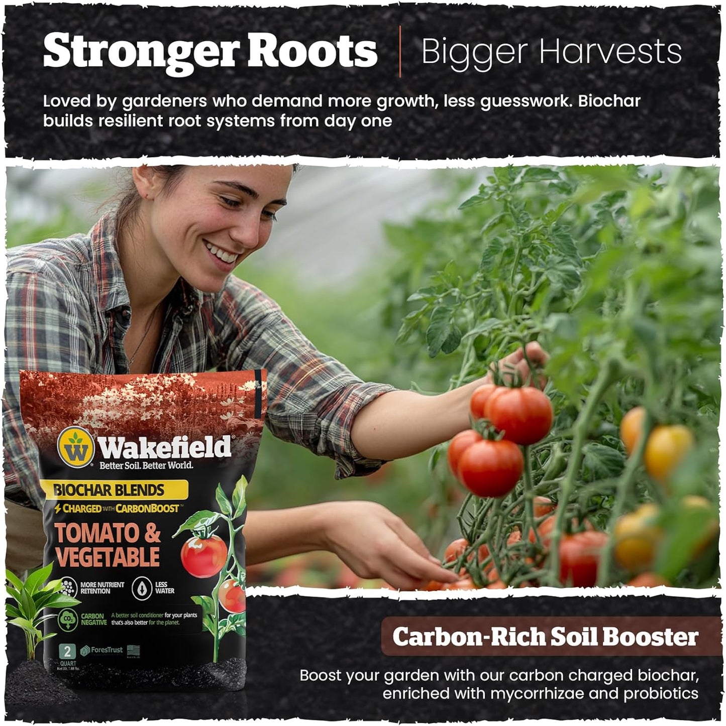 Wakefield Premium Biochar Blend – Organic Potting Soil for Vegetables, Tomatoes & Gardens – Potting Mix Enriched with Humic Acid & CarbonBoost – Versatile Top Soil for Indoor & Outdoor Plants-2quarts