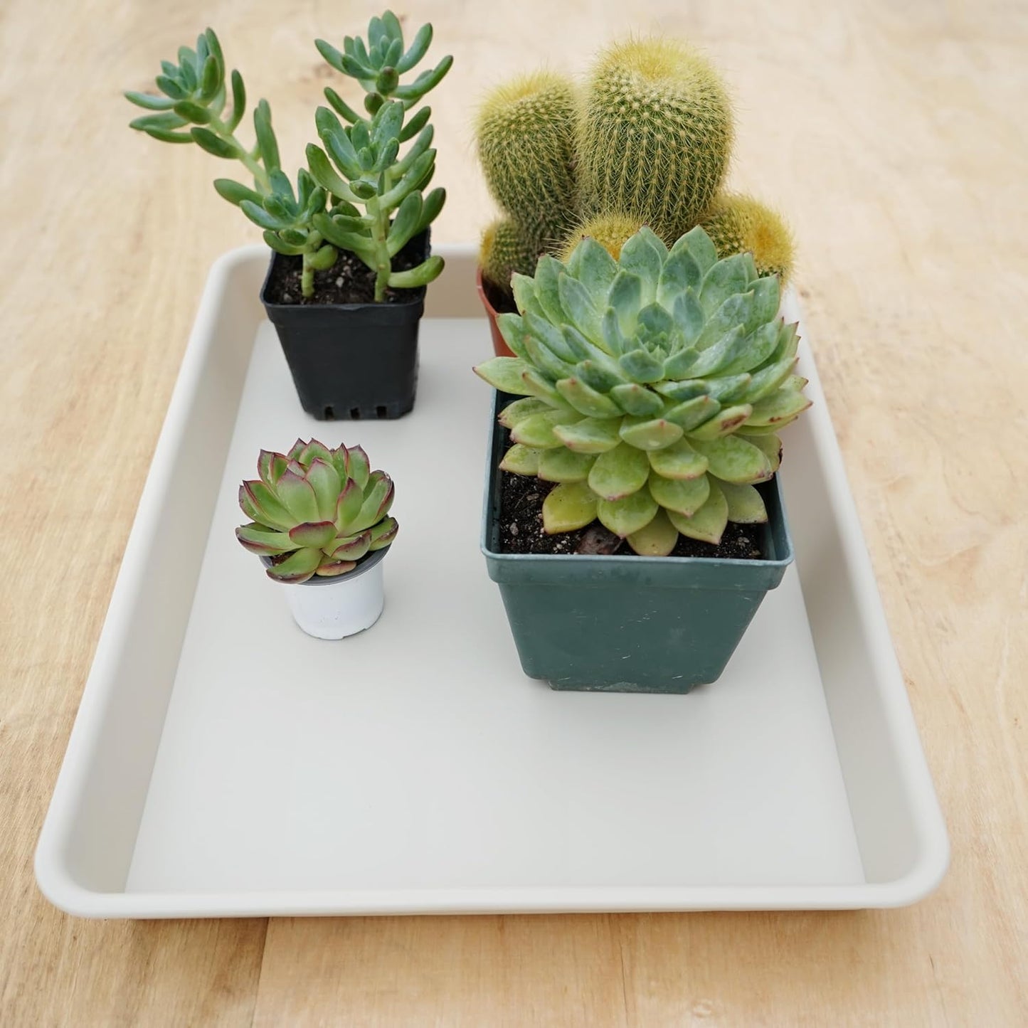 4 Pack Plant Saucer Tray Rectangular, Plant Saucers for Indoors, Heavy Sturdy Plastic Plant Drainage Trays, Plant Drip Trays for Pots, Seed Starter Growing Tray (11 x 9 inch, Beige)