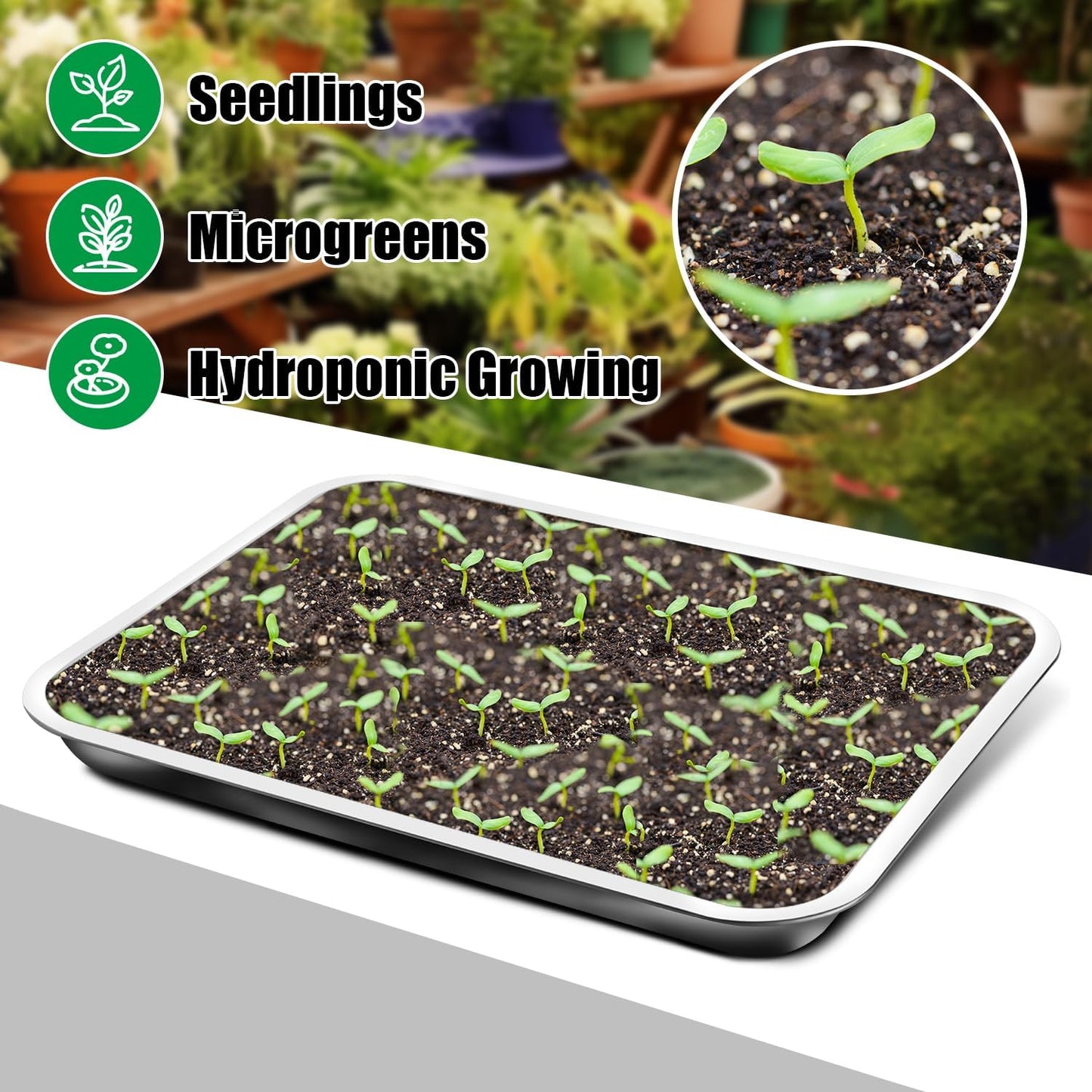 Stainless Metal Trays, Stainless Steel Seed Starter Carry Tray Fit 54 Cell Plug Tray, Nursery Seedling Pots Water Collection Transplantation (11.6 inch×15.2 inch, 1.45" Height, 10-Pack)