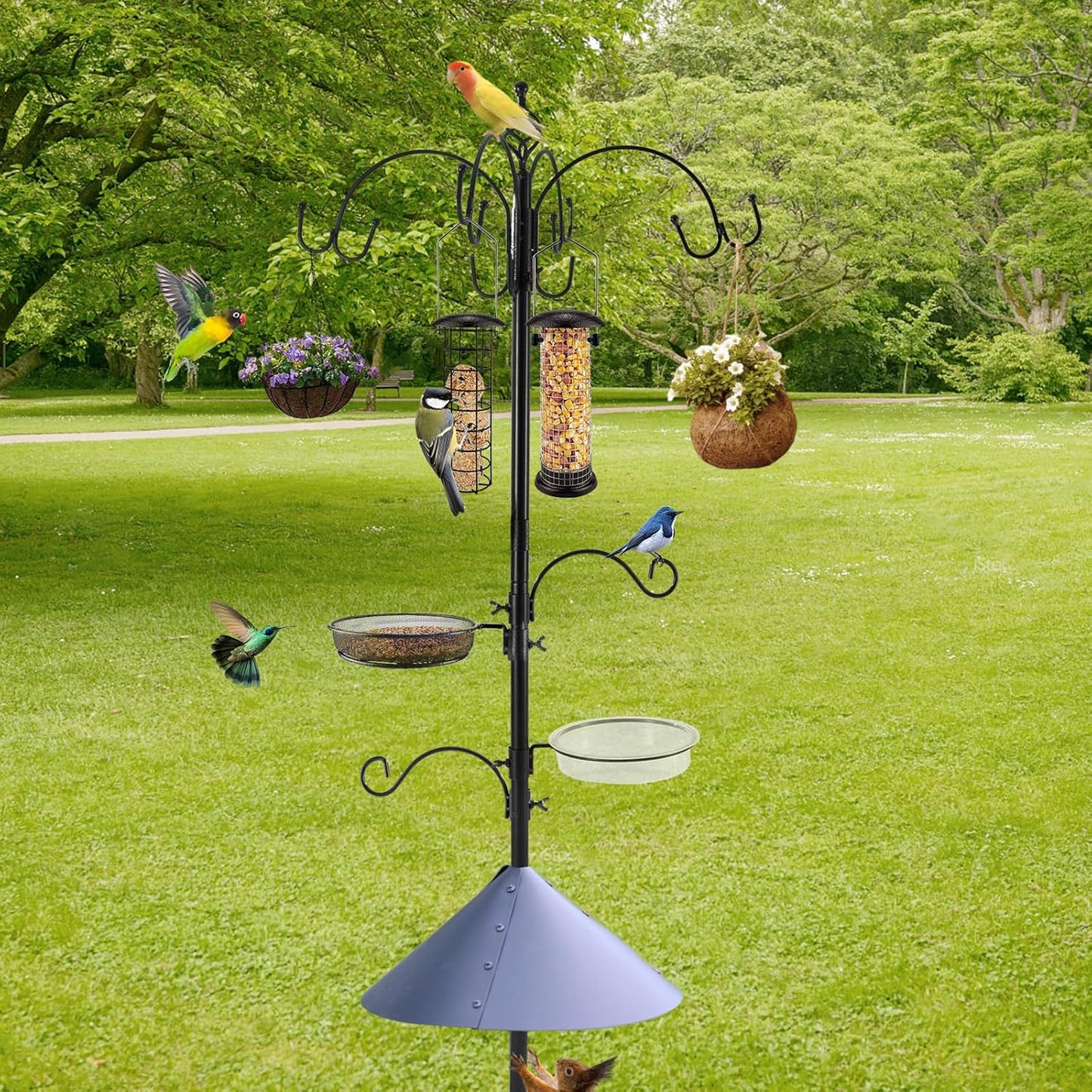 Deluxe Bird Feeding Station Kit Bird Feeder Pole with Squirrel Baffle, Suet Cage, Bath Tray for Planter Hanger - Wildlife-Friendly Design