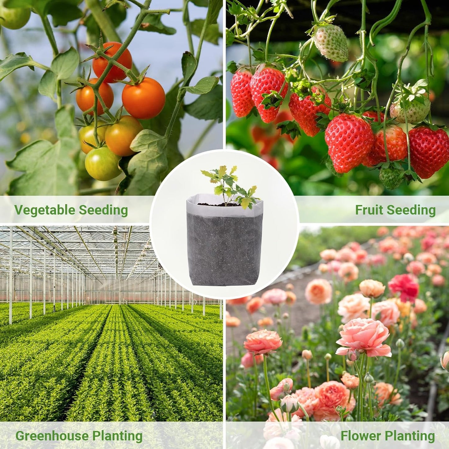 GREANER Degradable Grow Bags, 12.6"x13.4" Plant Bags for Home Garden Greenhouse Supplies, 50-Pack Large Fabric Pots for Vegetable Flower Fruits Potato Tomato Garden Seed Starting