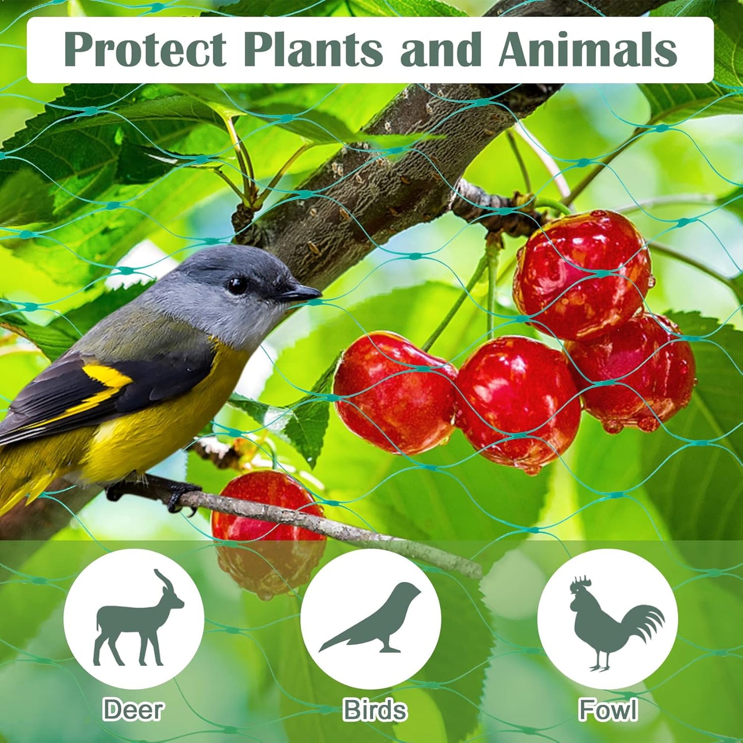 CandyHome 13Ft x 33Ft Anti Bird Protection Mesh Garden Netting Seedlings Plants Flowers Fruit Trees Vegetables from Rodents Deer Reusable Fencing, Green