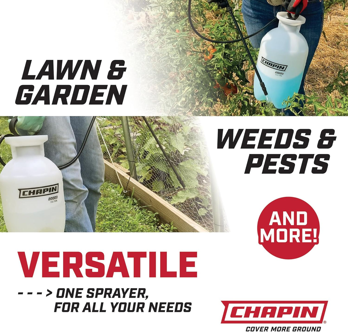 Chapin 20003 Made in USA 3 -Gallon Lawn and Garden Pump Pressured Sprayer, for Spraying Plants, Garden Watering, Lawns, Weeds and Pests, Translucent White