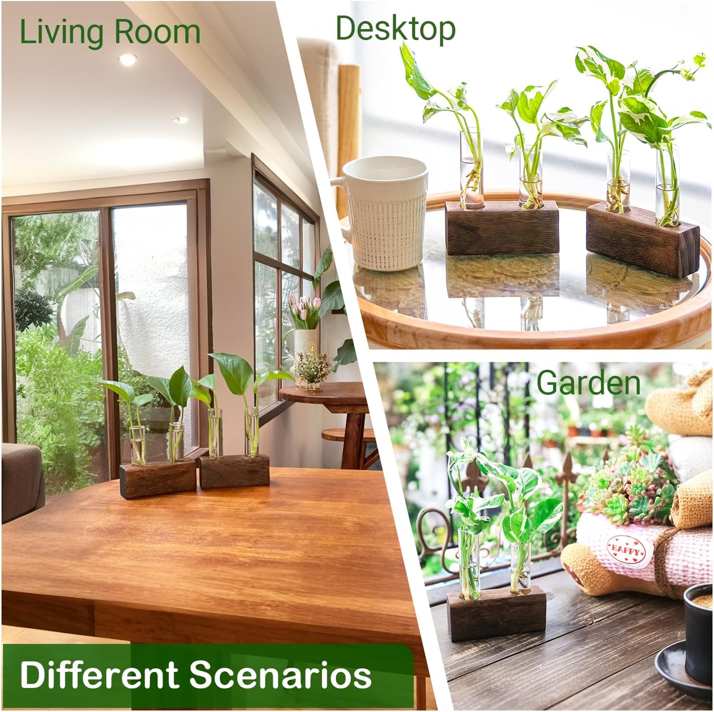 Ivolador Plant Propagation Stations 4 Test Tube Plants Terrariums in Wooden Stand Gifts for Plant Lovers for Hydroponic Plants Office Home Decor Hydroponic Vase Gift Box 2 Sets