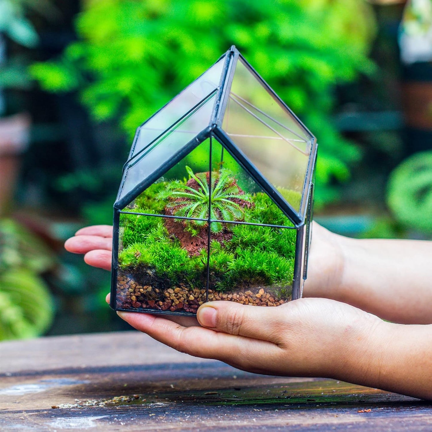NCYP Mini Glass Geometric Terrarium with Lid - 4.25" x 4.25" x 4.92" Small House Shape Close Planter Pot for Succulents Plant - Handmade, Home Garden Office Tabletop Decor, Black (Terrarium Only)