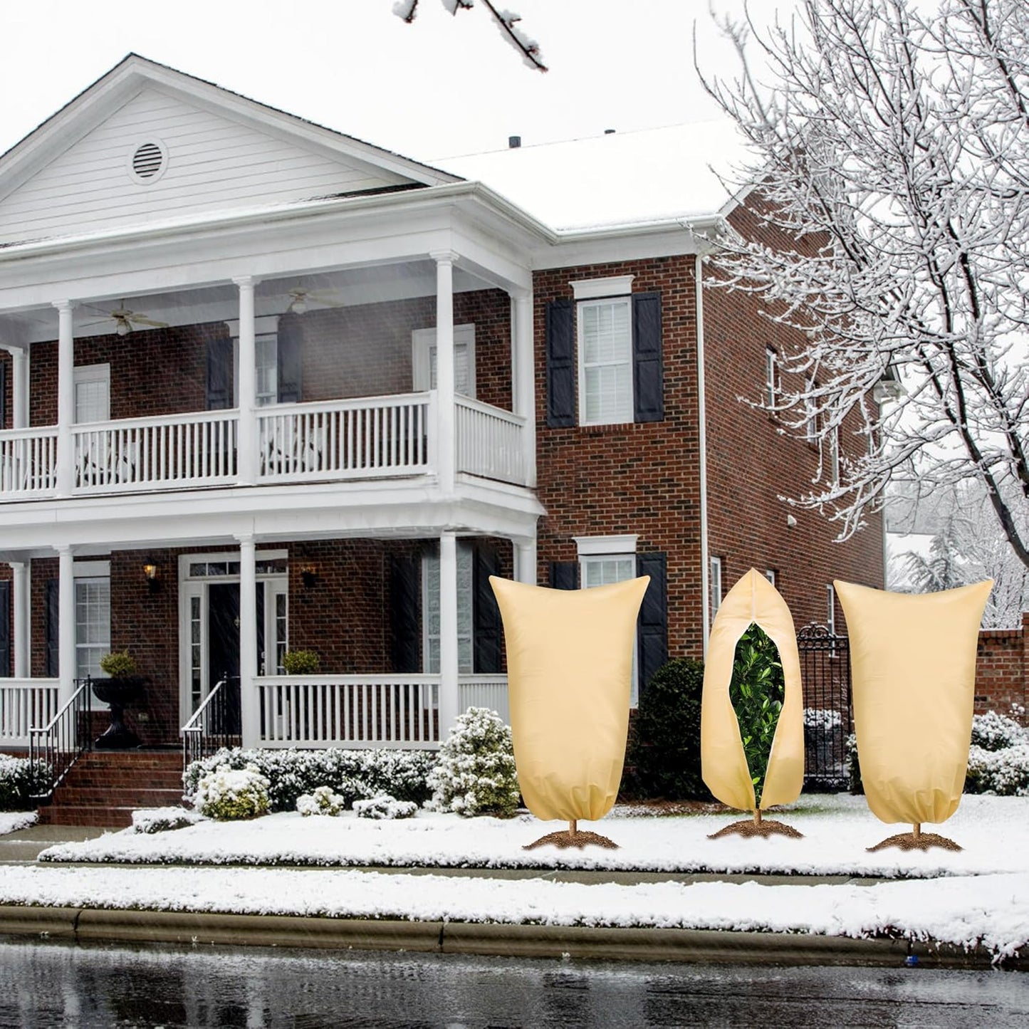 SCRUBIT Plant Covers Freeze Protection, 60 x 70 in. Frost Cloths for Outdoor Plants Fruit Trees & Shrubs with Zipper and Drawstring, Thick Winter Plant Covers - 2 Pack Tree Frost Blankets