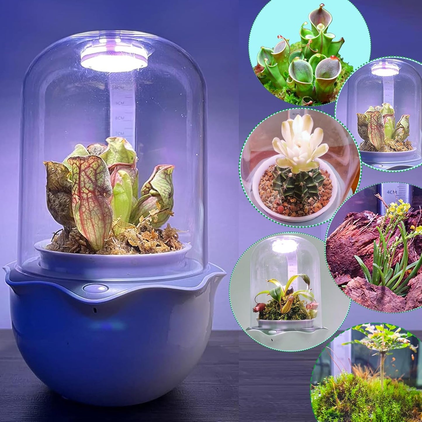 Smart Venus Fly Trap Terrarium Pot with Timer&Fan,Succulent Planter with Grow Light,Indoor Plant Terrarium Kit for Carnivorous Plants,Sundew Moss,Cactus, for Dad (No Plant)