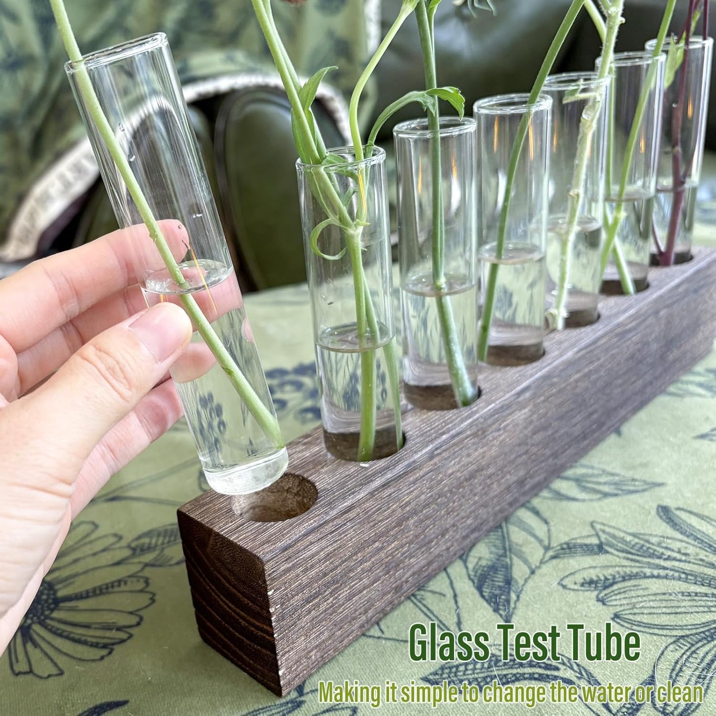 KAXYEW Desktop Glass Plant Propagation Station Test Tube Plant Terrarium in Wooden Stand for Hydroponic Plants Cutting Office Home Decoration