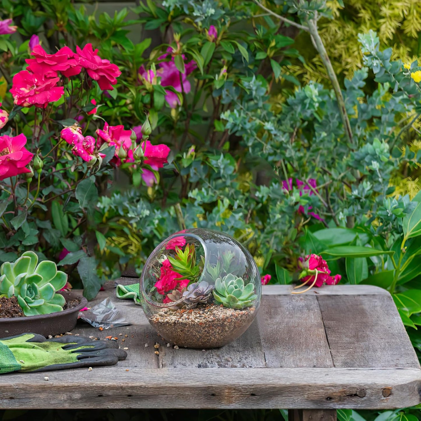 Mipcase 3 Pcs Plant Terrarium Plant Holder Terrarium Air Plant, 3 Round Glass Vase for Succulents, Clear Bubble Planter for Home Decor, Oblique Opening Glass Bowls Succulent Orbs Mini Tank