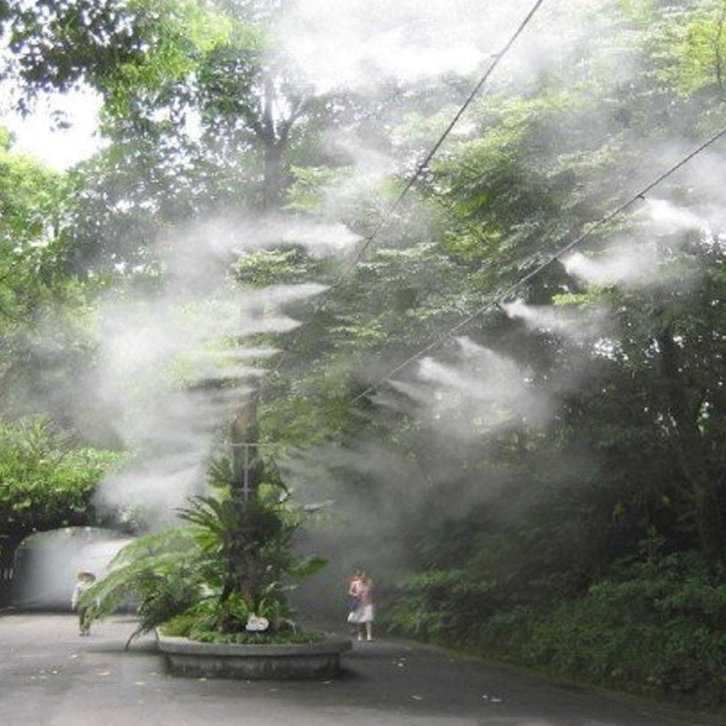 Brass Misting Nozzles 0.016" Orifice (0.4mm) 10/24 UNC, Water Mister Parts Fog Nozzles for Patio Misting System Outdoor Cooling System (40pcs)