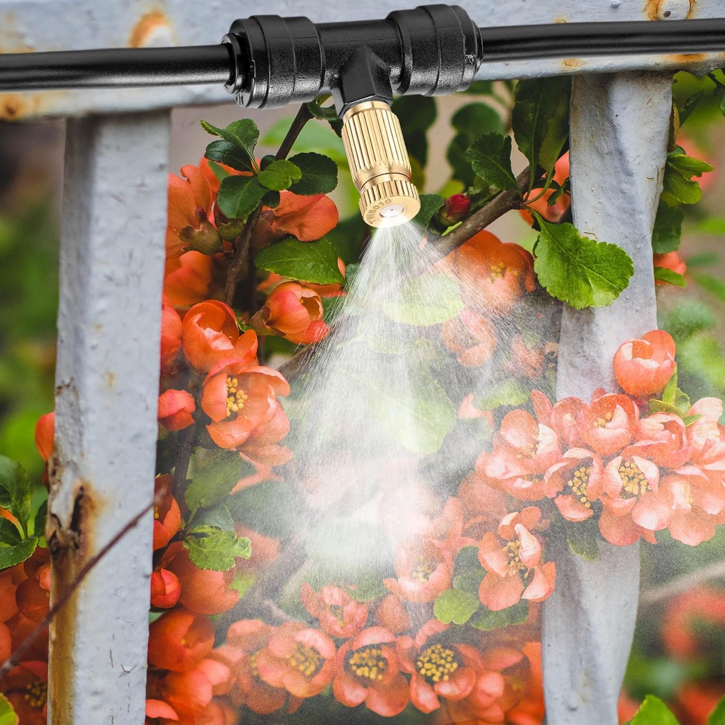 Mornajina 20 Packs Brass Misting Nozzles Mister Replacement Nozzles for Outdoor Cooling System, Misting System Heads Sprayer 0.020" (0.5 mm) 10-24 UNC, High Pressure