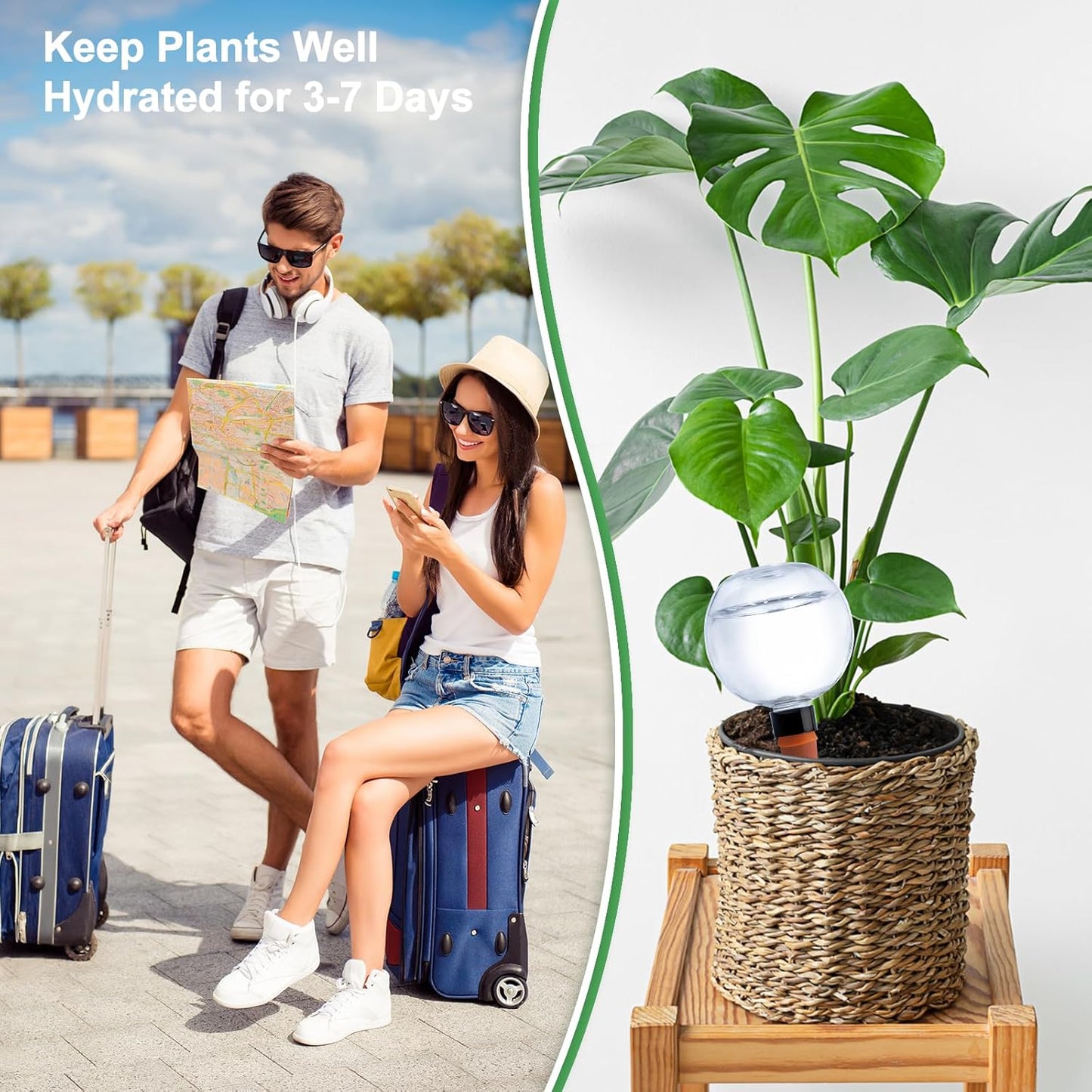 4 Pack Plant Watering Globes 17oz Self Watering Planter Insert Indoor/Outdoor Plant Watering Devices for Automatic Drip Irrigation