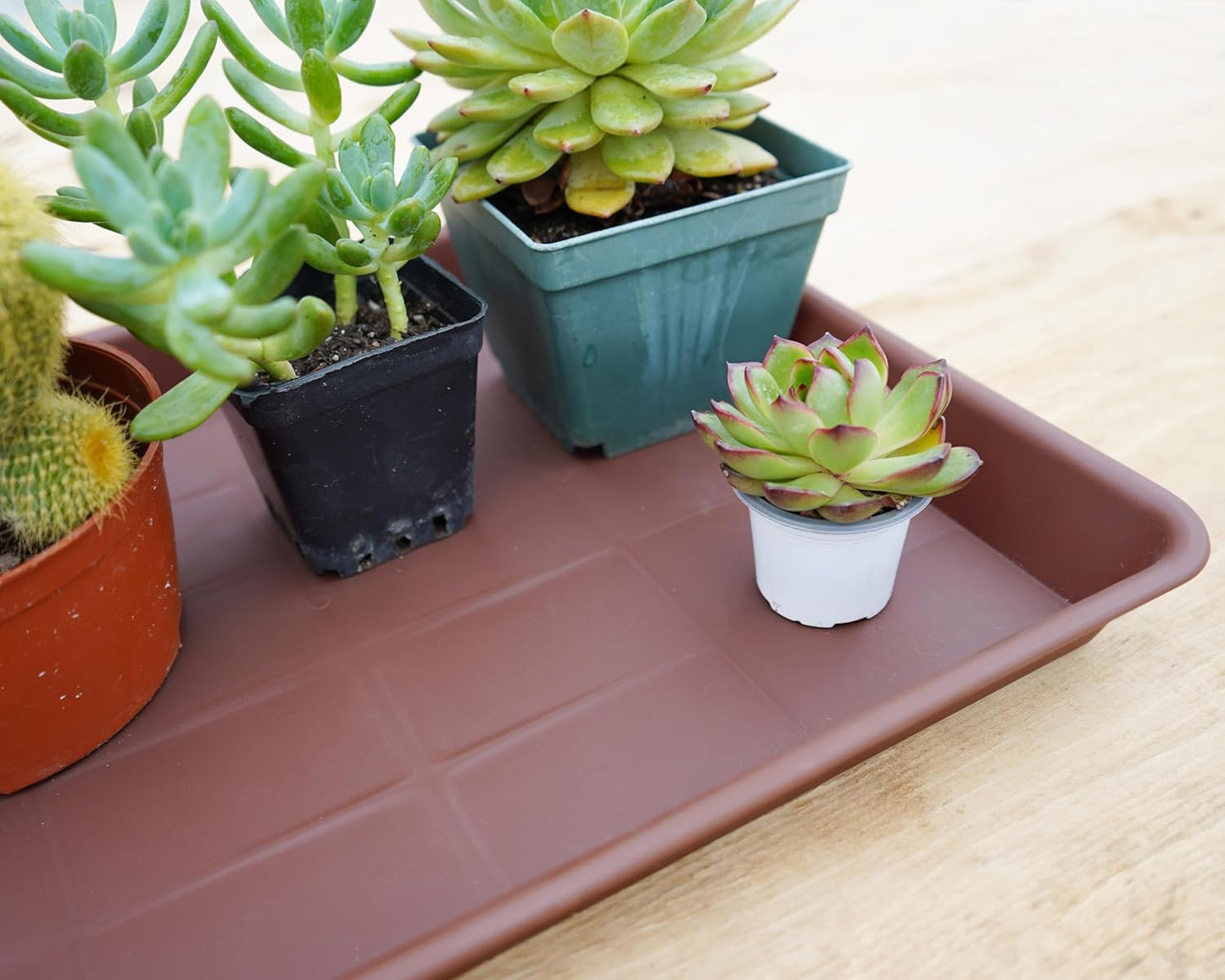 4 Pack Plant Saucer Tray Rectangular, Plant Saucers for Indoors, Heavy Sturdy Plastic Plant Drainage Trays, Plant Drip Trays for Pots, Seed Starter Growing Tray (11 x 9 inch, Chocolate)