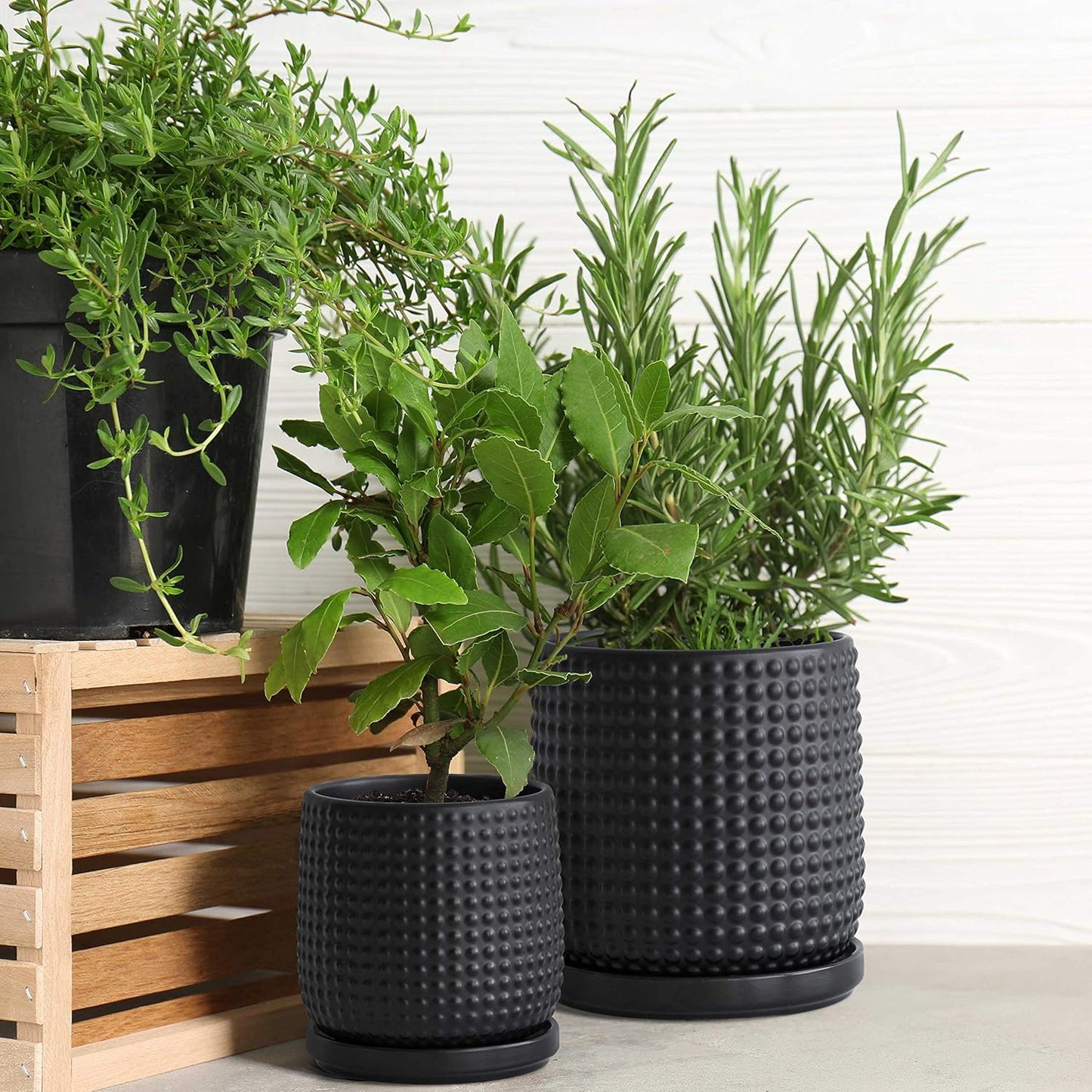 D'vine Dev 6 Inch 4 Inch Ceramic Indoor Planter Pots with Drainage Hole and Saucer, Beaded Design Flower Pots, Set of 2, Matte Black, 27-D-U-6