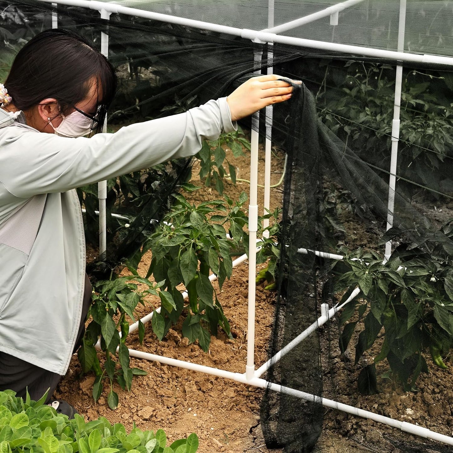 72 * 33 * 30 in Detachable Crop Cages for Garden, Plant Protection Tent with Garden Netting for Vegetables Fruits Flowers,Mesh Plant Covers for Outdoors (Black)