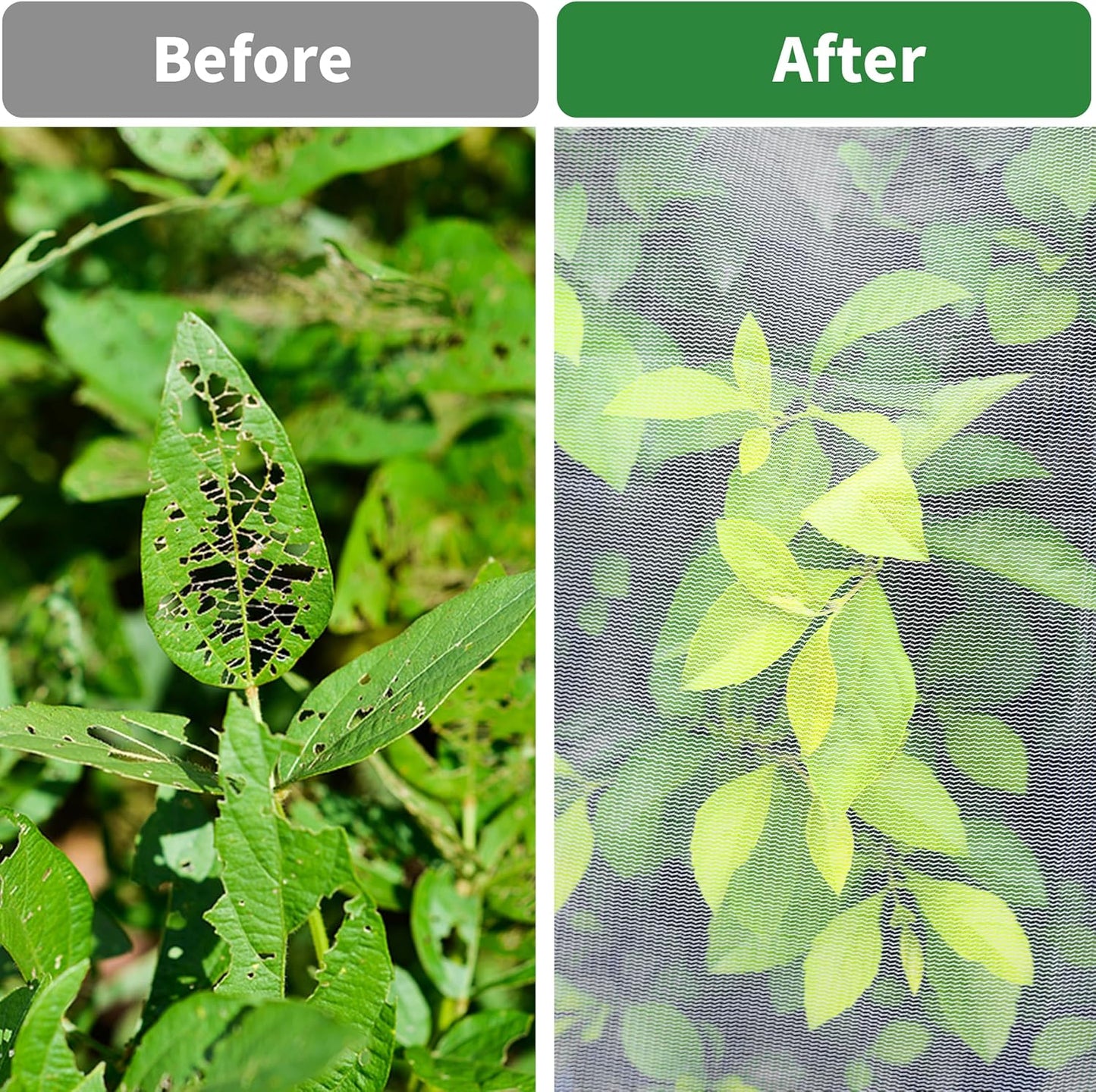 Large Garden Mesh Netting with Zipper and Drawstring,Plants Cover Protection from Anti Birds,Bugs,Cicadas,and Insects-Pest Barrier Bag for Blueberry Bushes,Tomatoes,Citrus,Fruit Tree