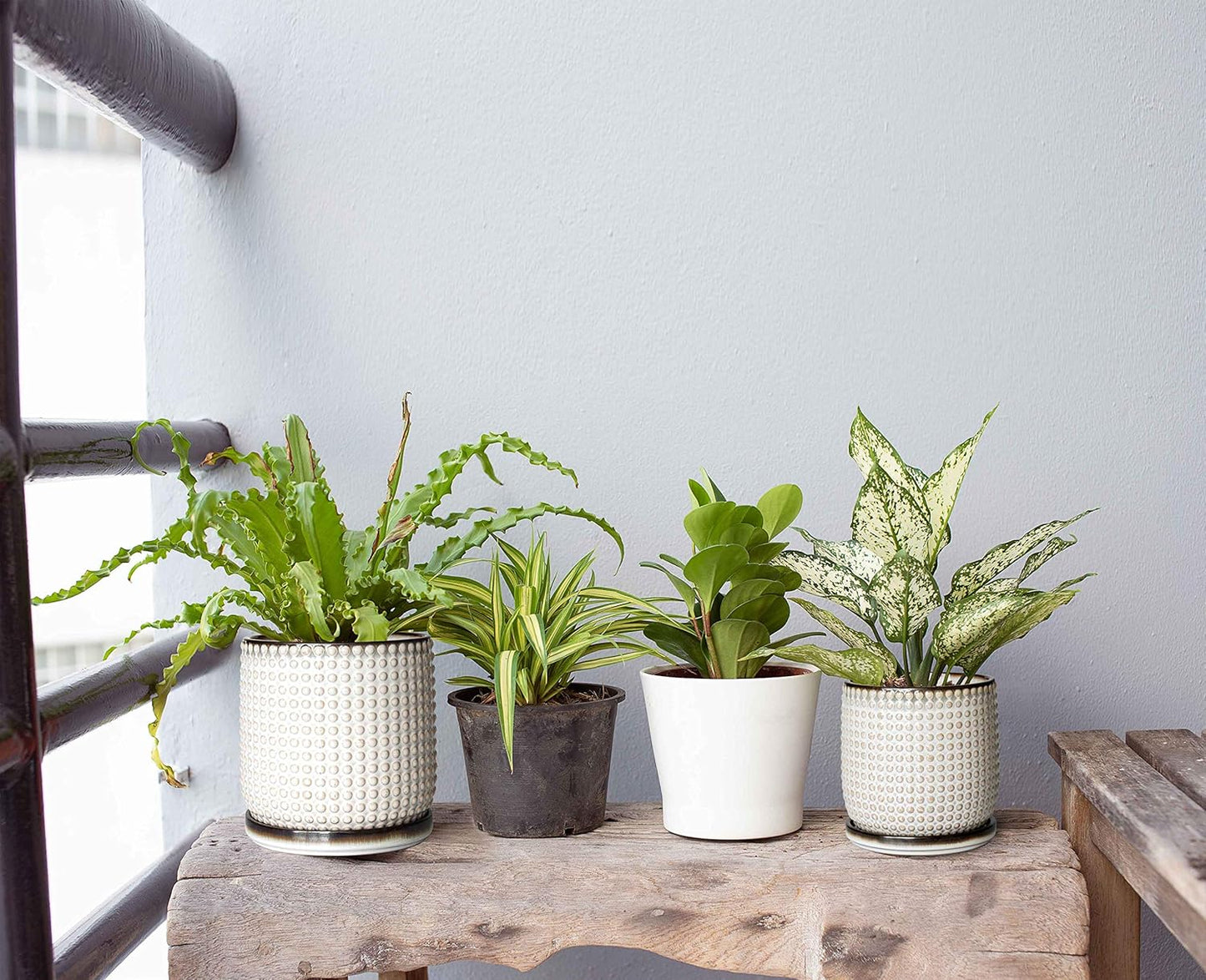 D'vine Dev 6 Inch 4 Inch Ceramic Indoor Planter Pots with Drainage Hole and Saucer, Beaded Design Flower Pots, Set of 2, Smoked White, 27-D-U-1