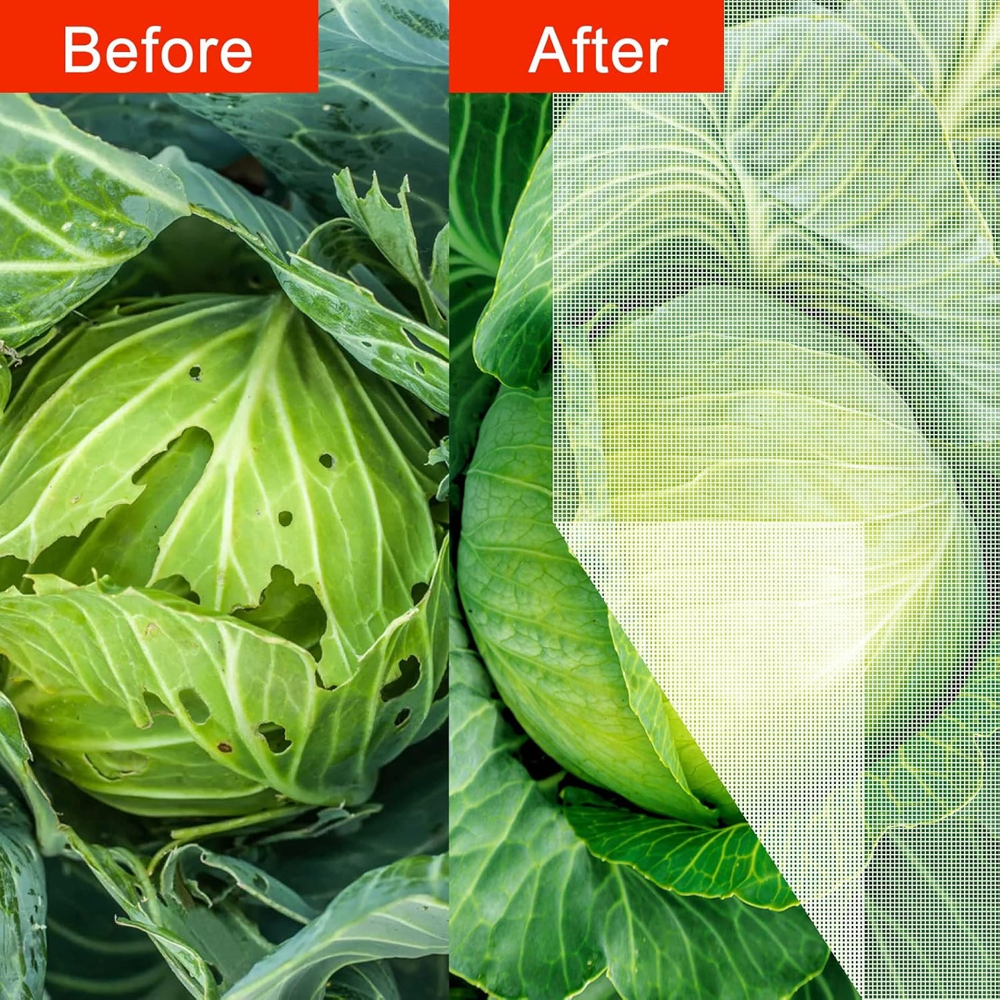 Agfabric Garden Netting 16'x20' Insect Pest Barrier Bird Netting for Garden Protection,Row Cover Mesh Netting for Vegetables Fruit Trees and Plants,White