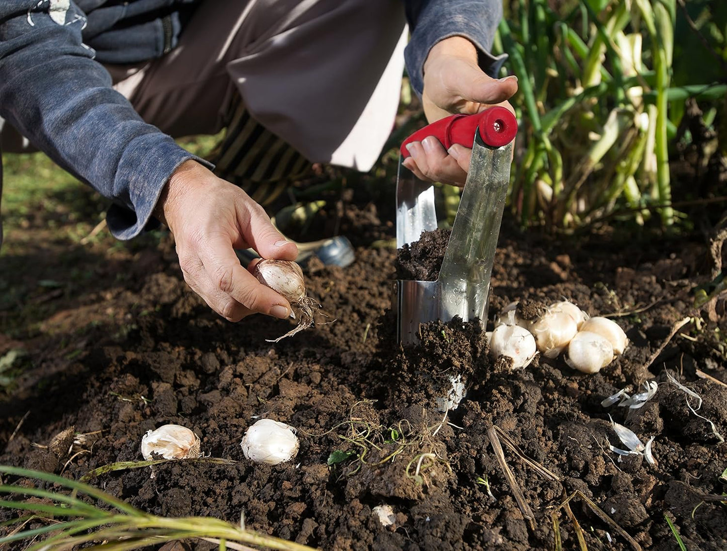 TABOR Tools 3-Piece Bulb Planting Garden Tool Set D123A