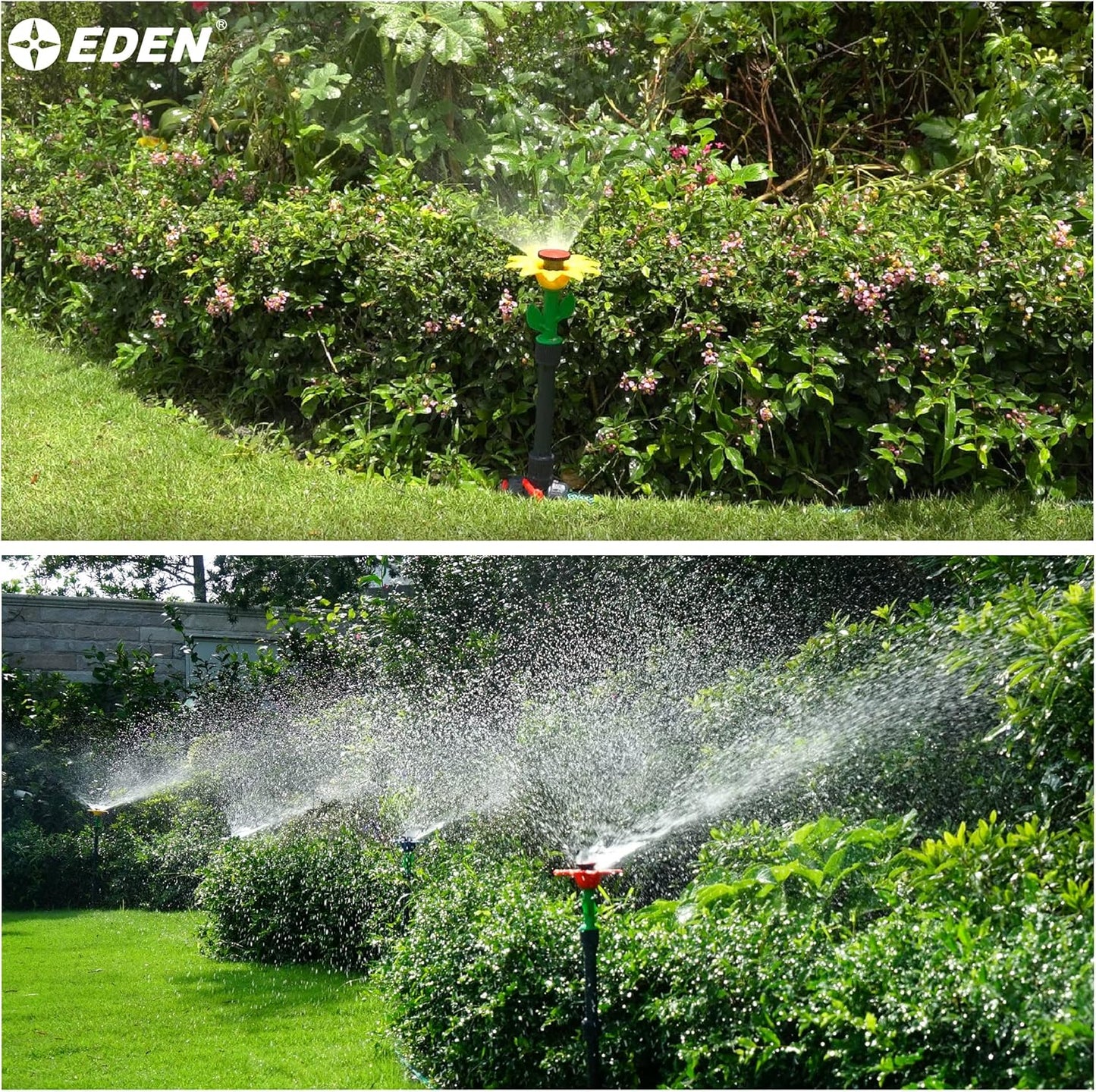 Eden 97065 Daisy Above-Ground 50 Ft Garden Hose and Sprinkler System, DIY Plant Watering Set